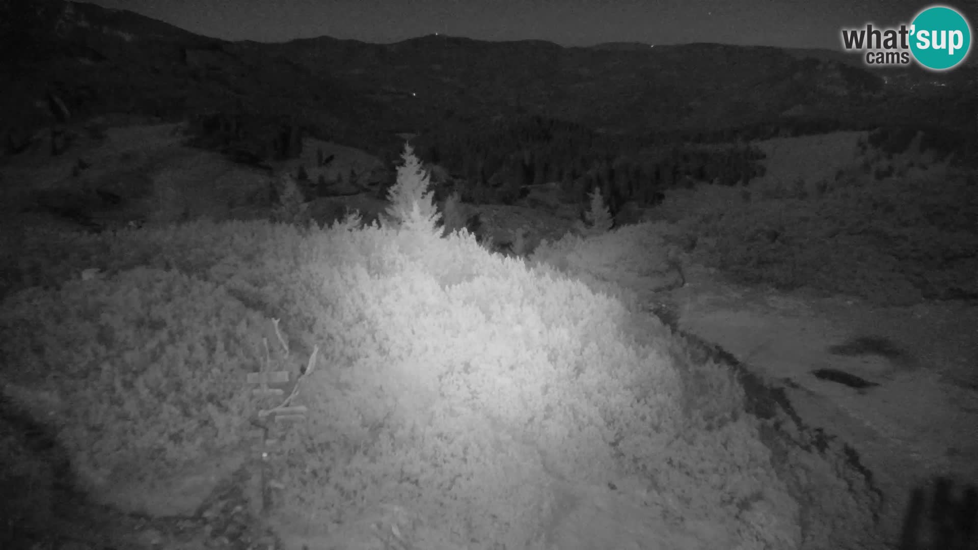 Velika Planina | Gradišče