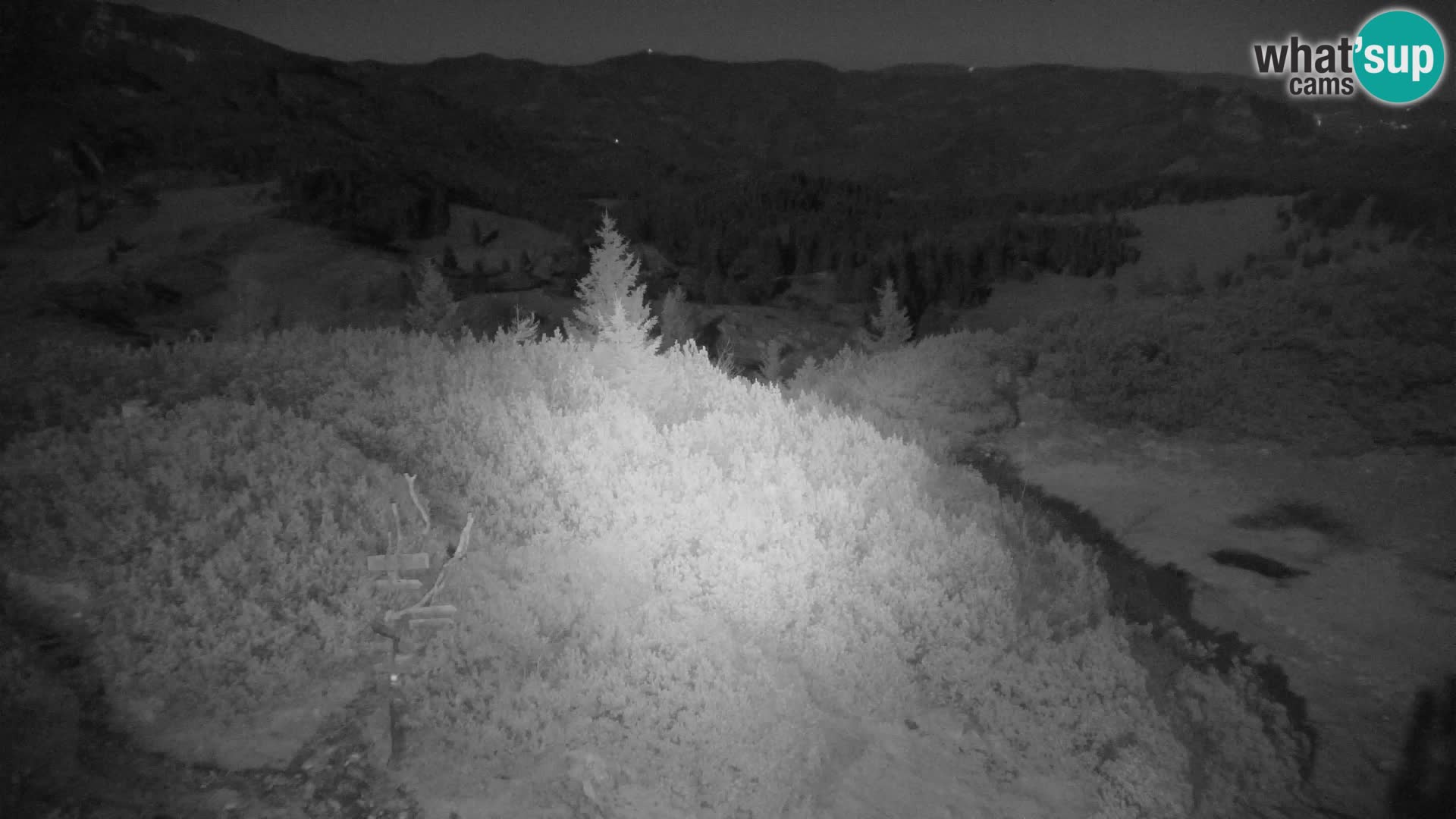 Velika Planina | Gradišče