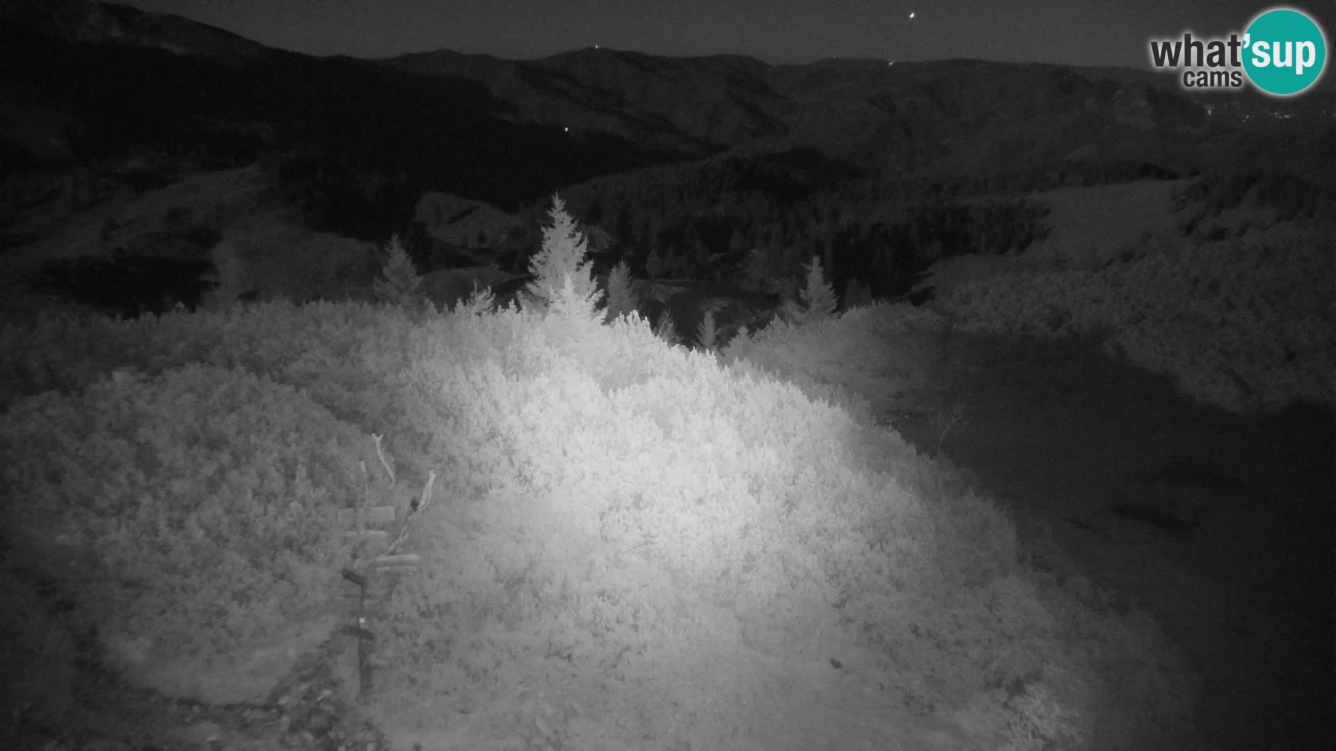 Velika Planina | Gradišče