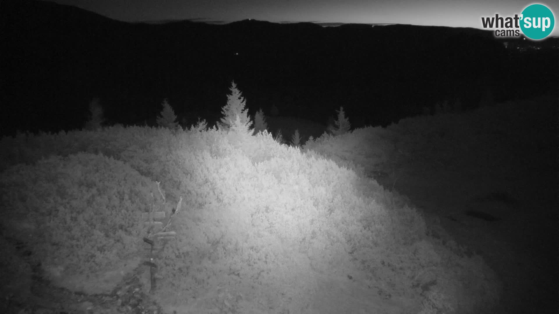 Velika Planina | Gradišče