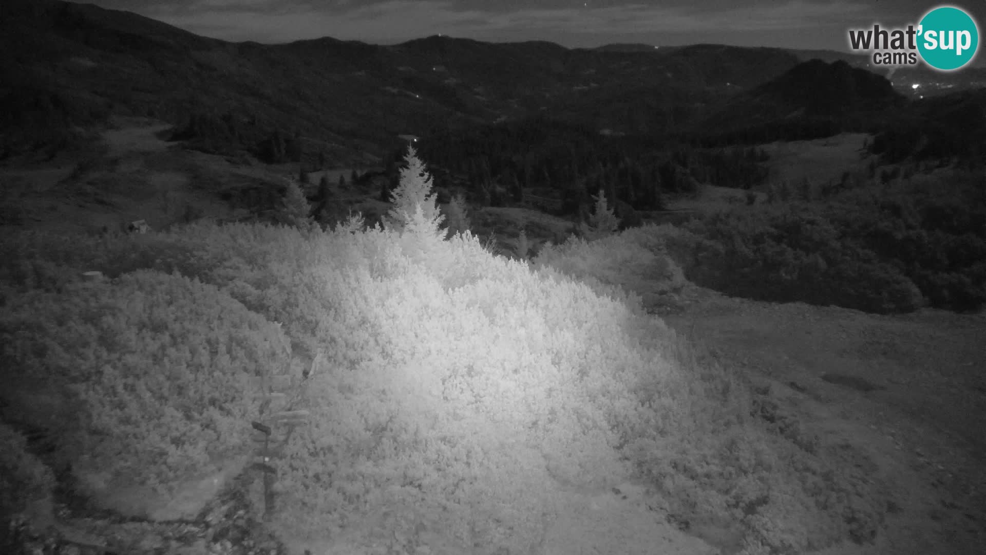 Velika Planina | Gradišče