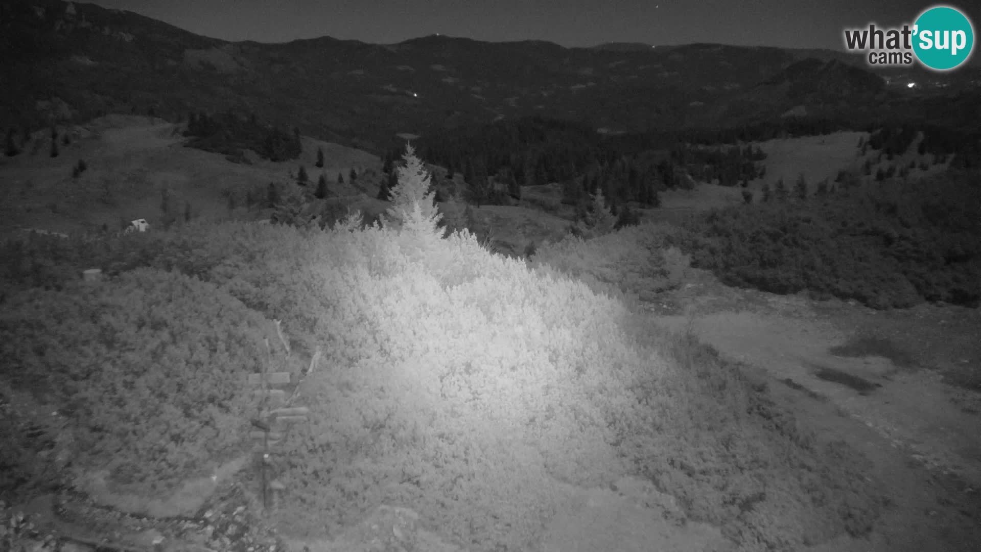 Velika Planina | Gradišče