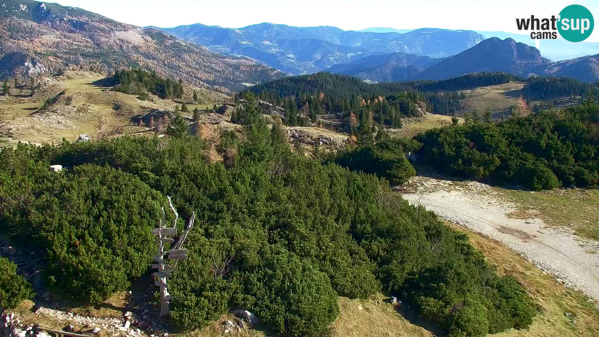 Velika Planina | Gradišče