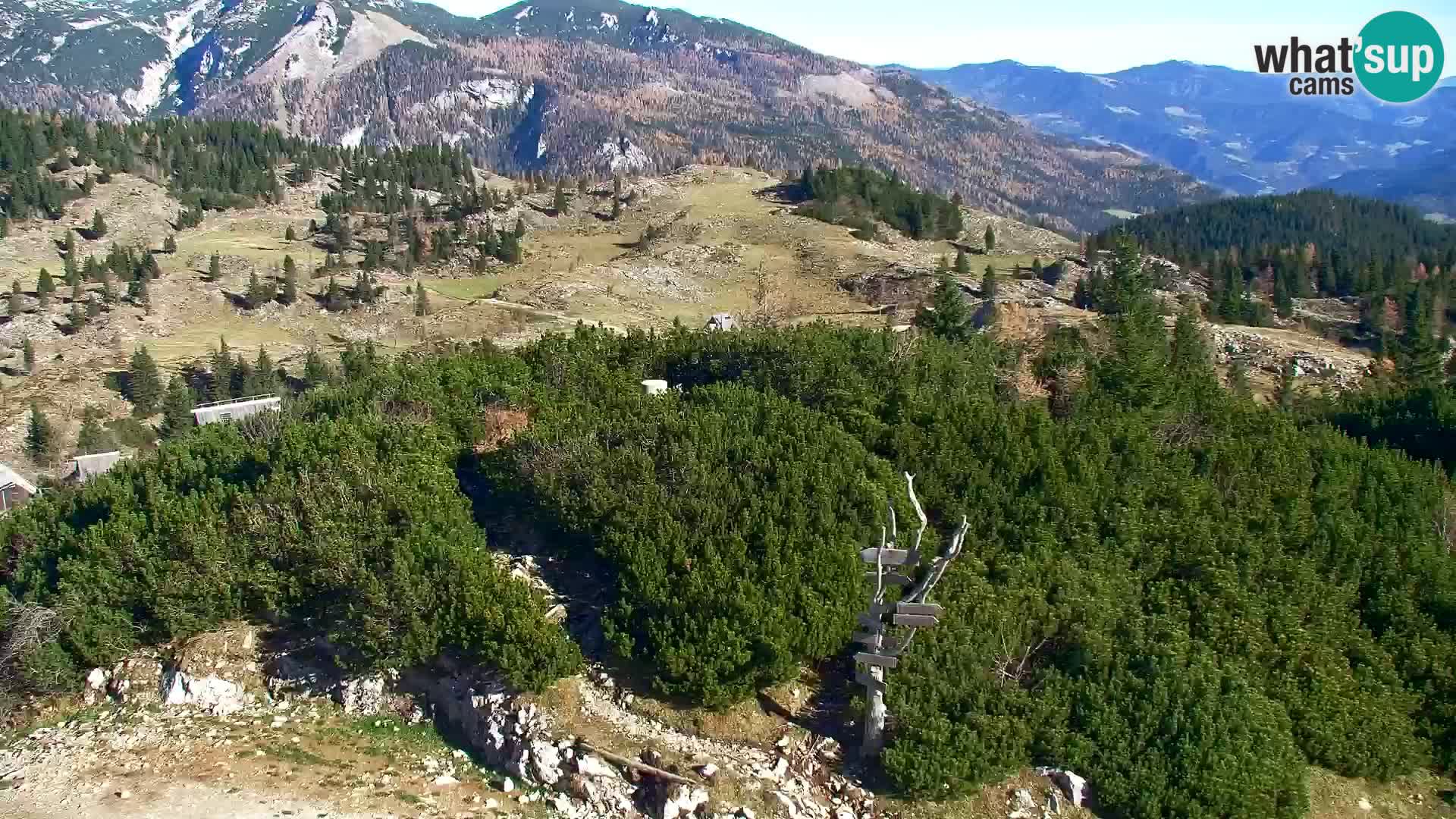 Velika Planina | Gradišče