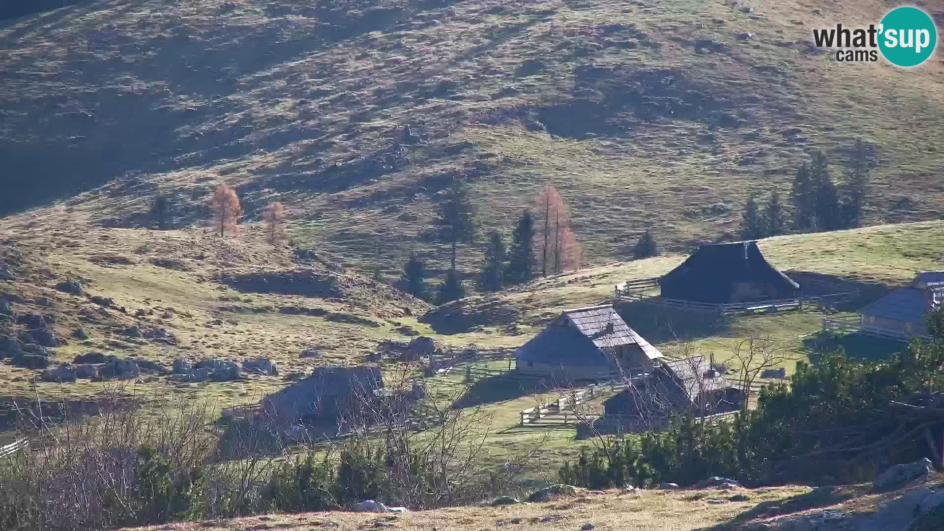 Velika Planina | Gradišče