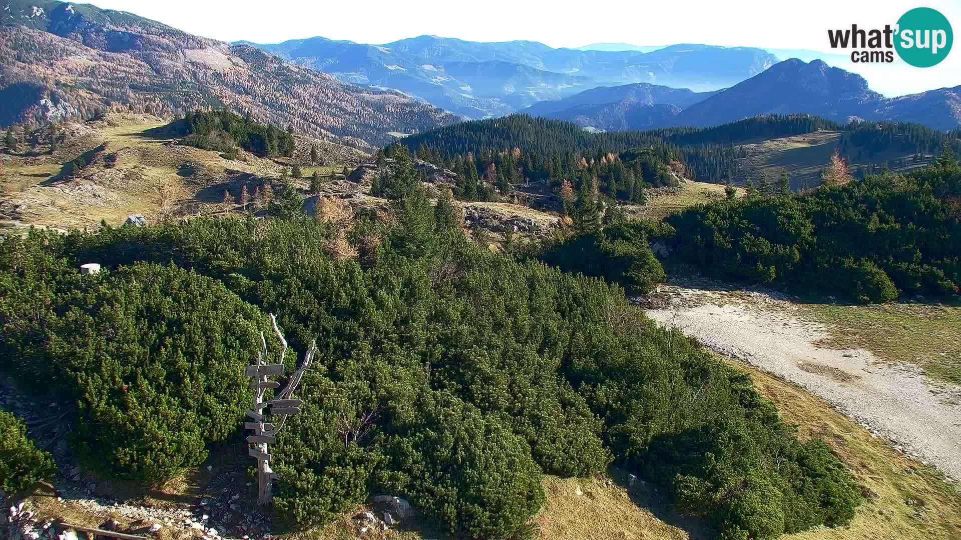 Velika Planina | Gradišče