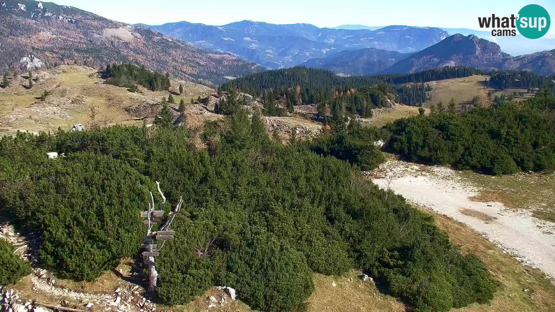 Velika Planina | Gradišče