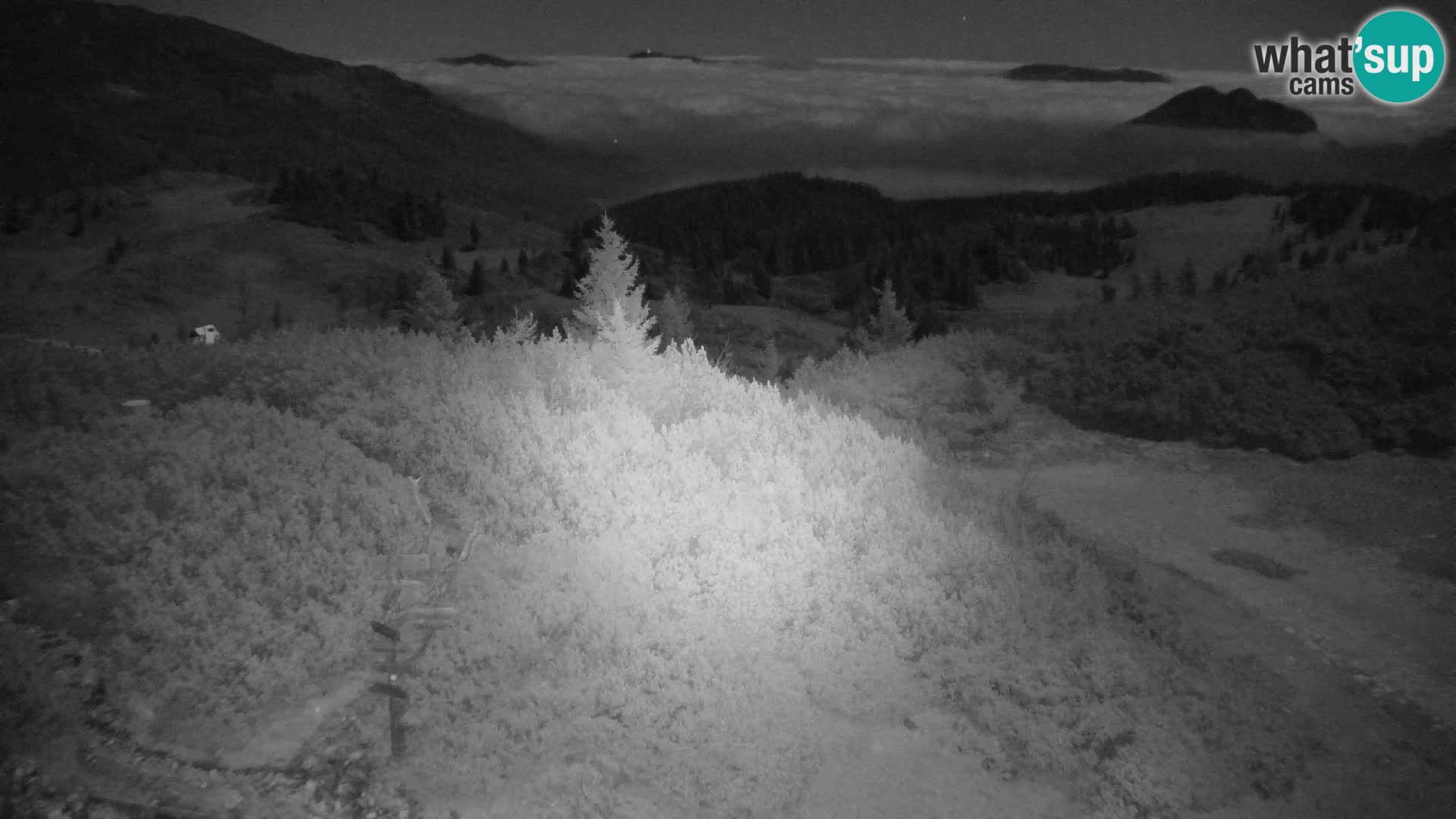Velika Planina | Gradišče