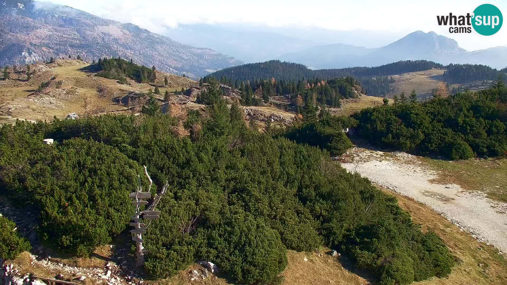 Velika Planina | Gradišče