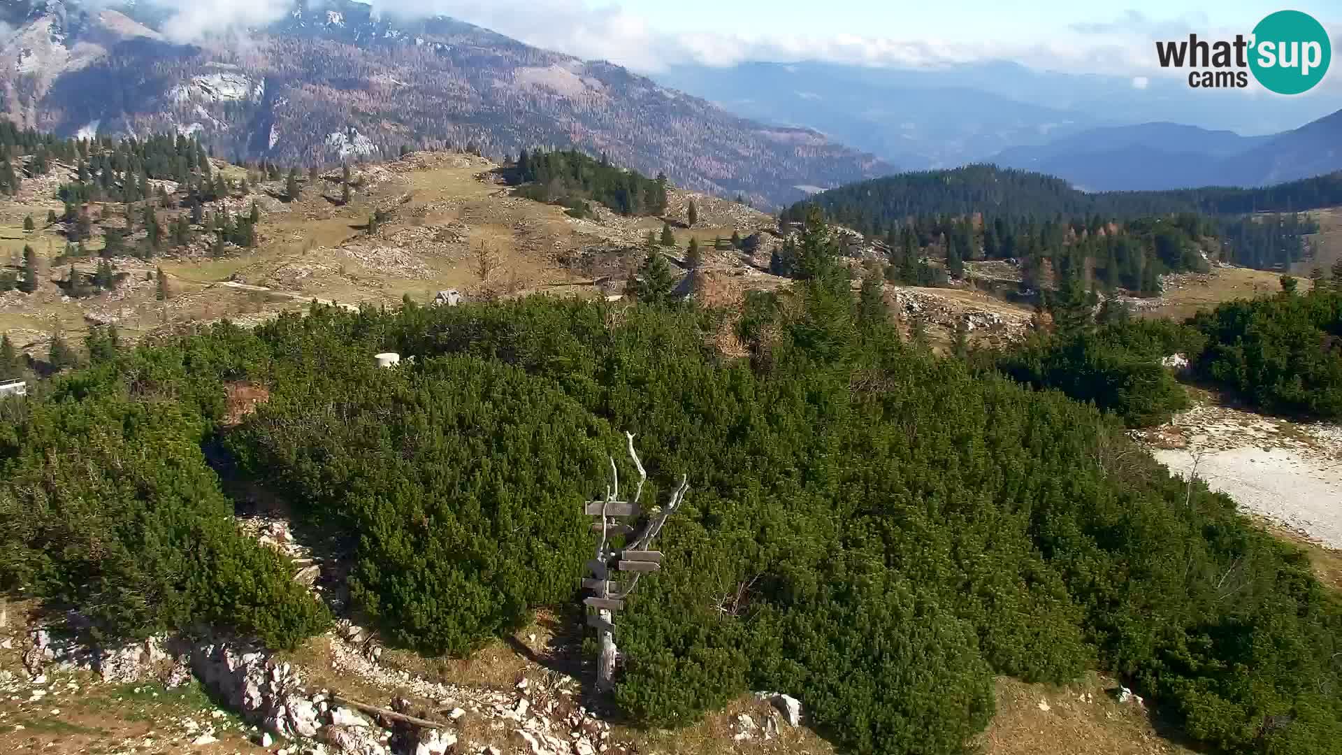 Velika Planina | Gradišče