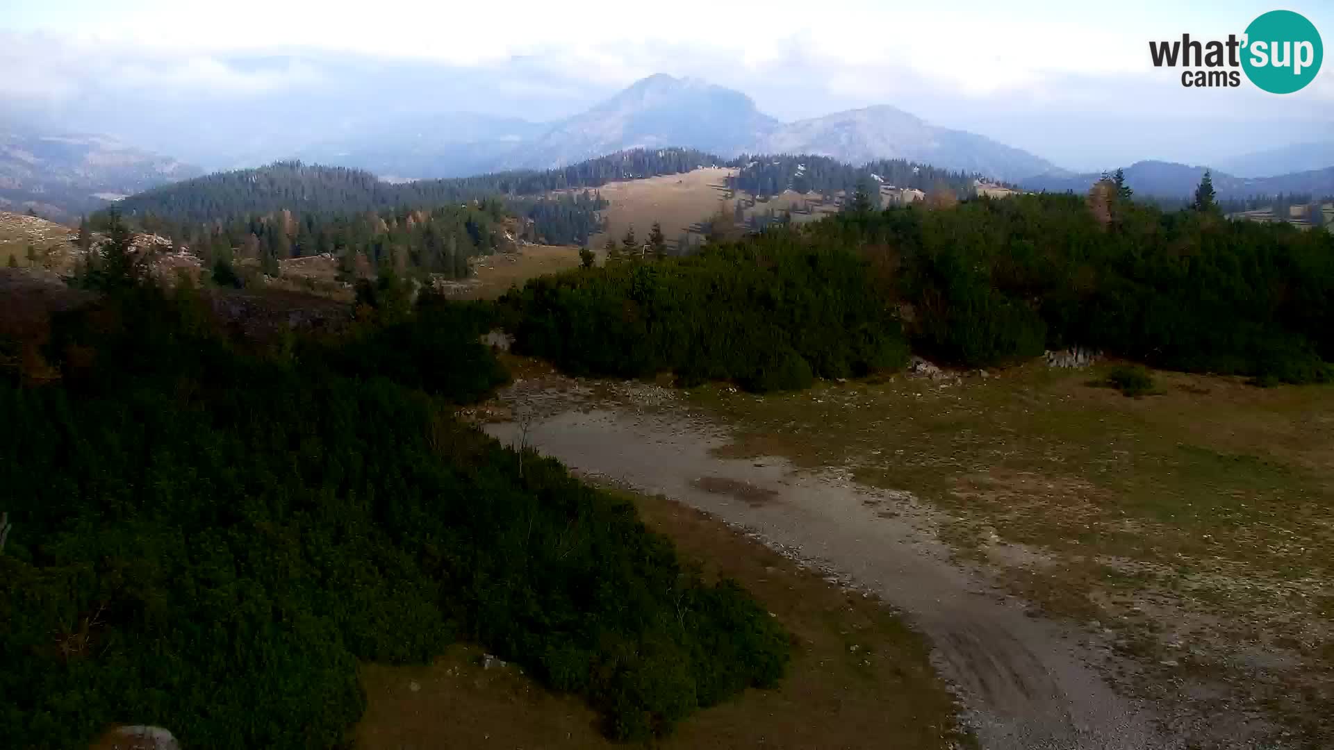 Velika Planina | Gradišče
