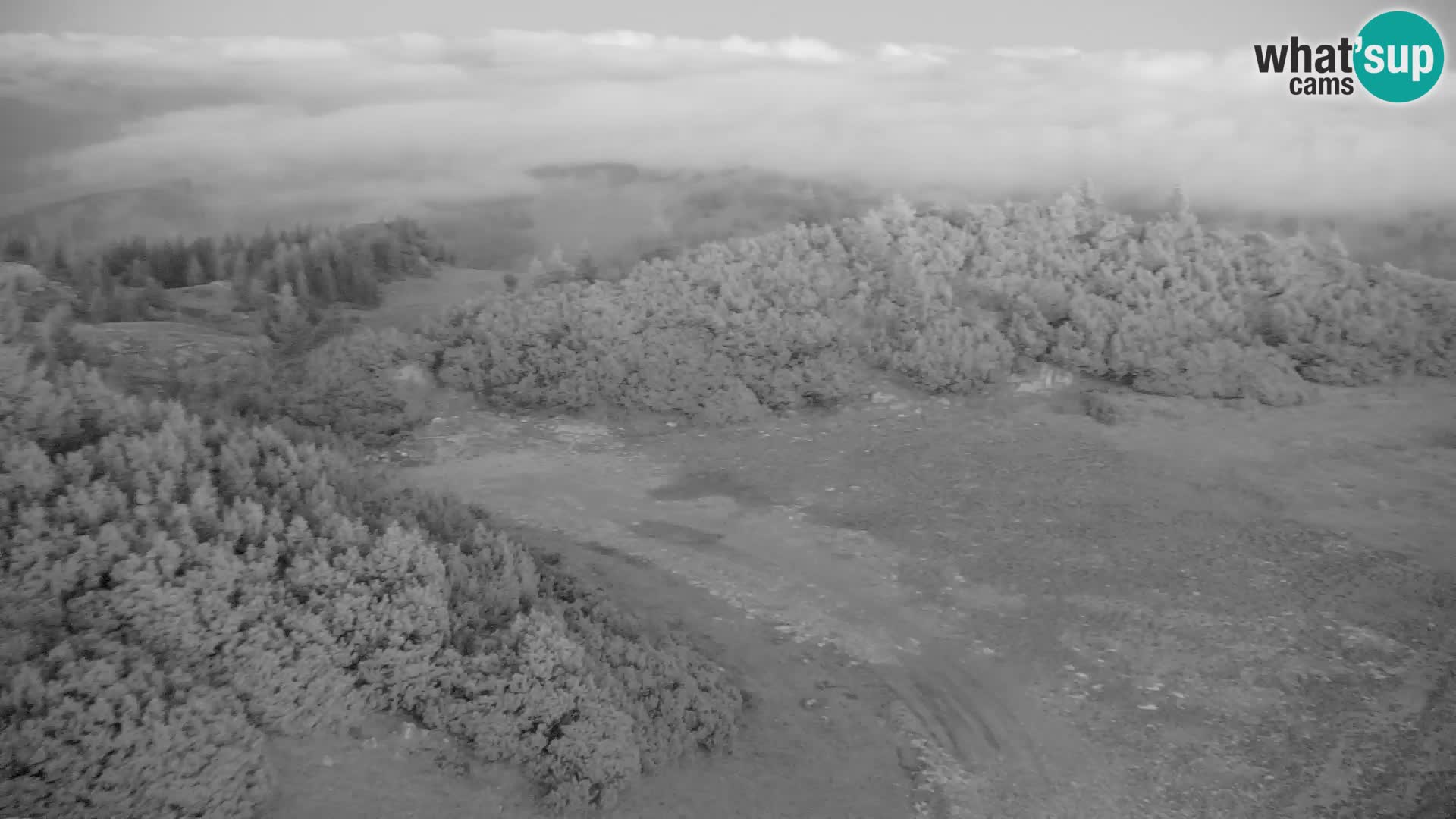 Velika Planina | Gradišče