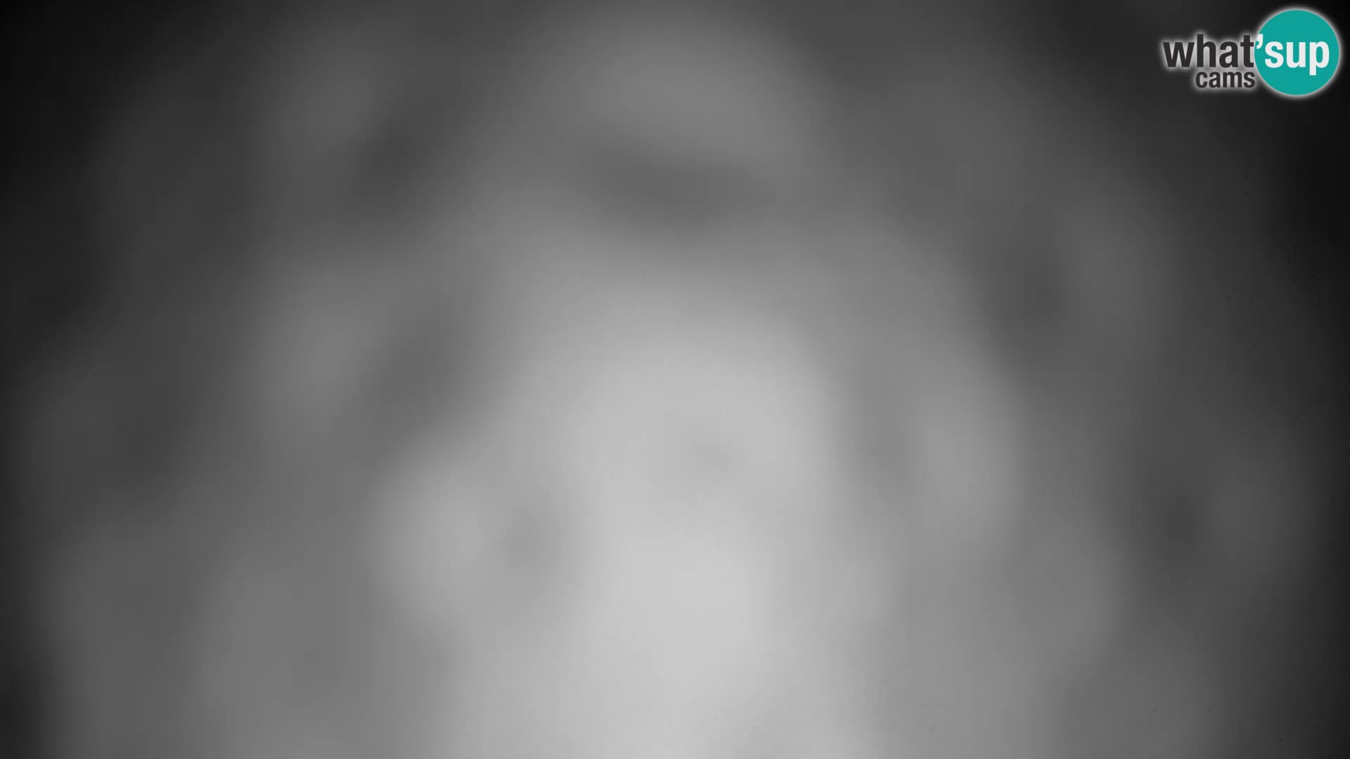 Velika Planina | Gradišče