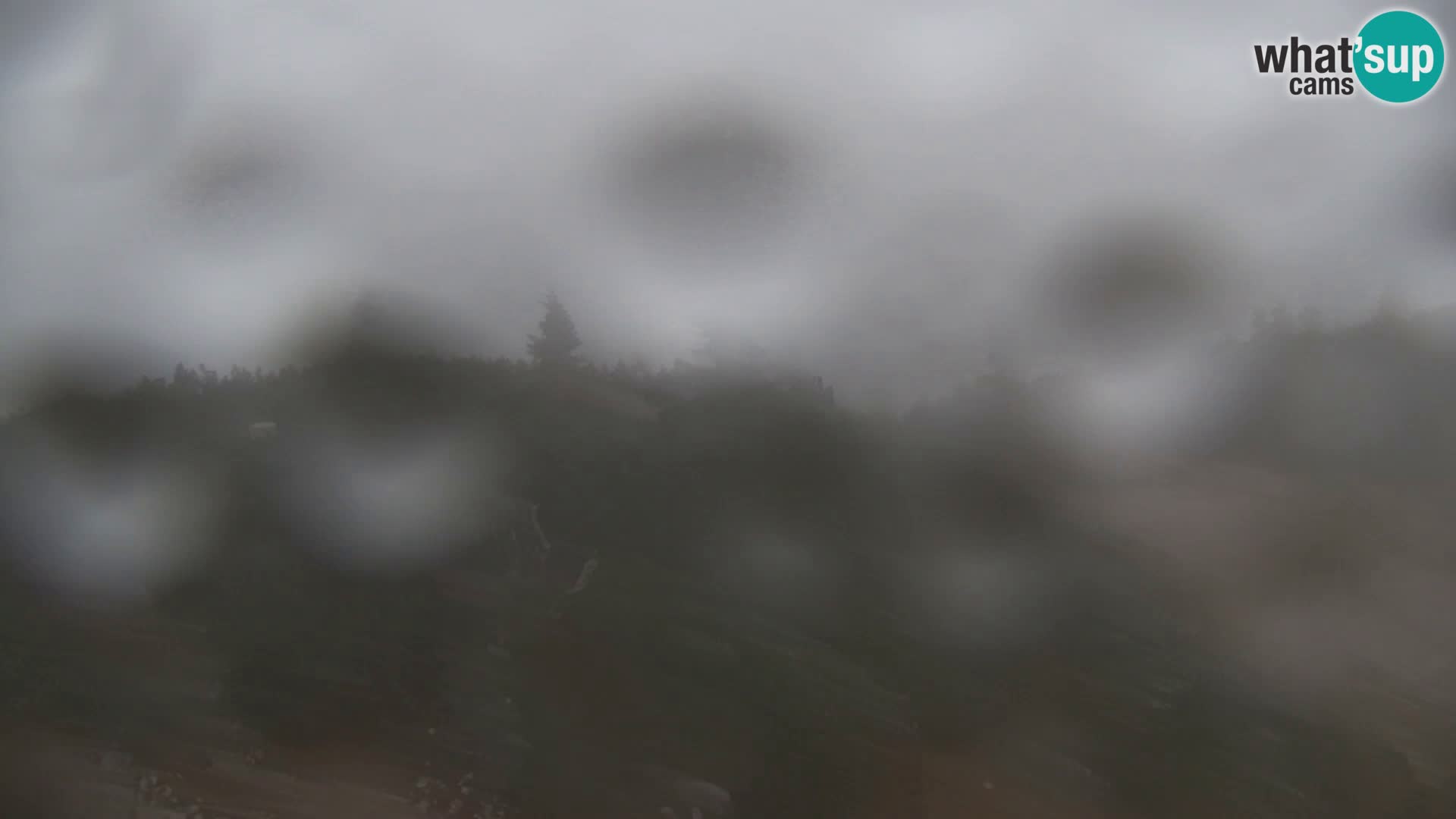 Velika Planina | Gradišče