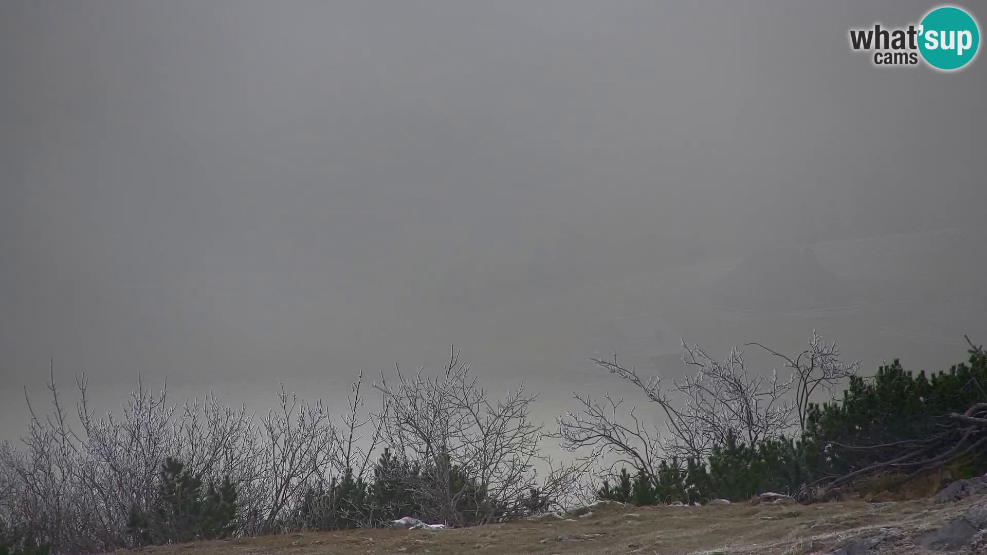 Velika Planina | Gradišče