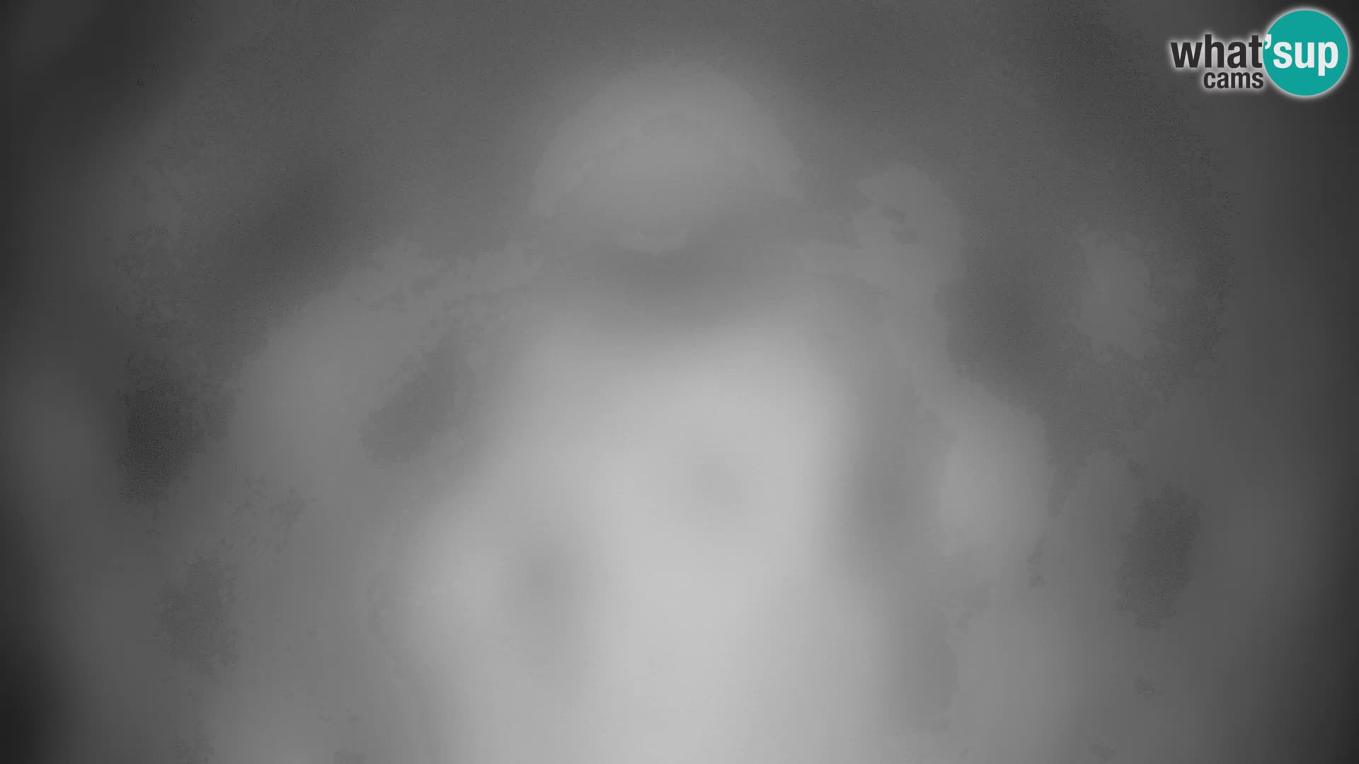 Velika Planina | Gradišče