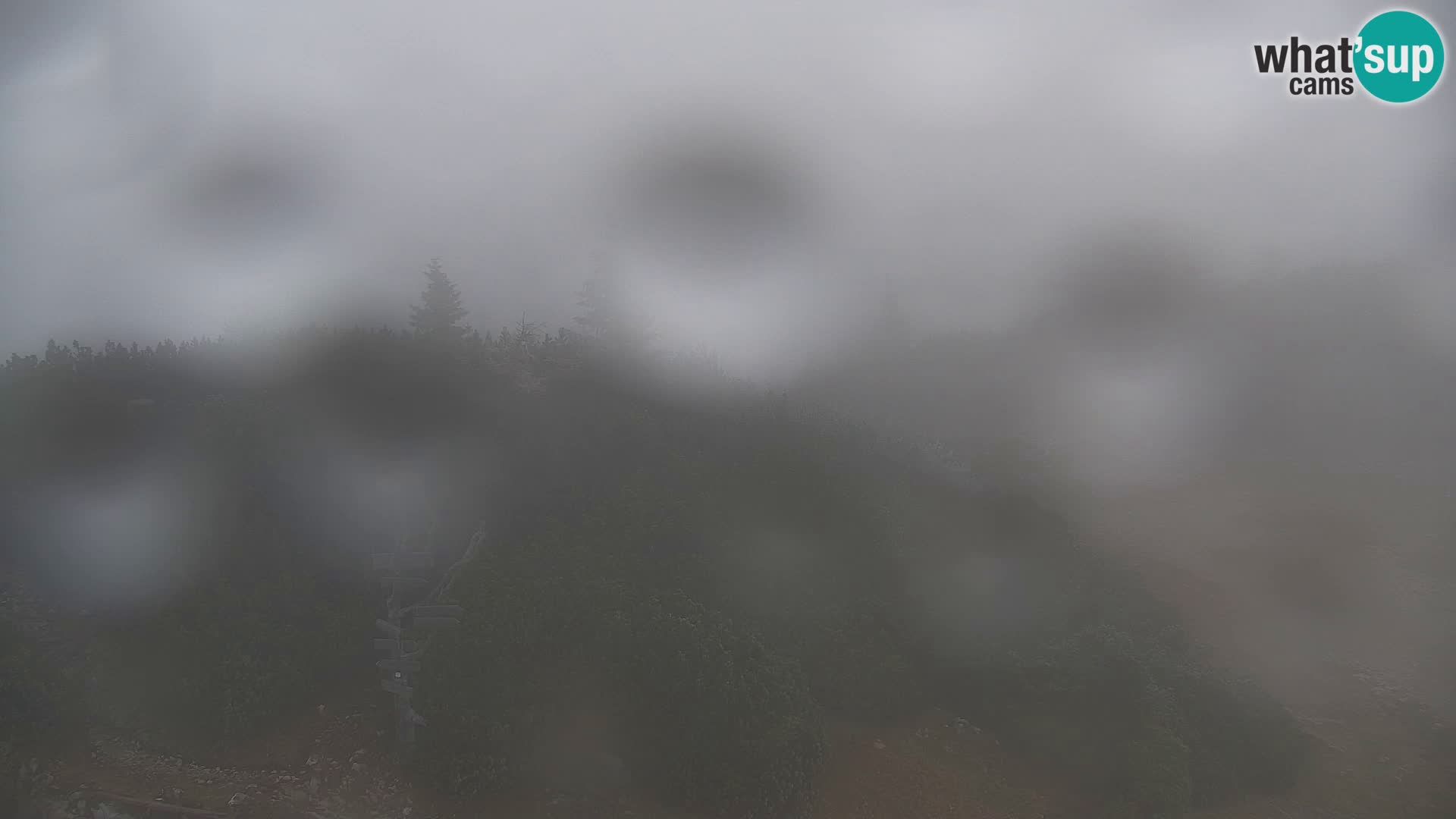 Velika Planina | Gradišče