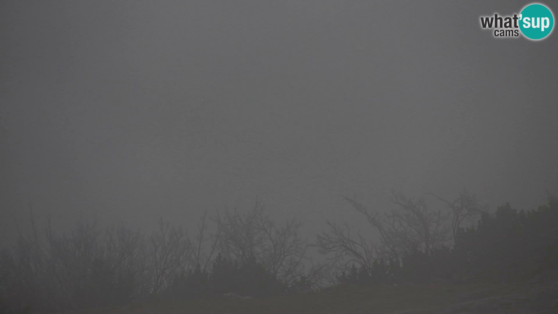 Velika Planina | Gradišče