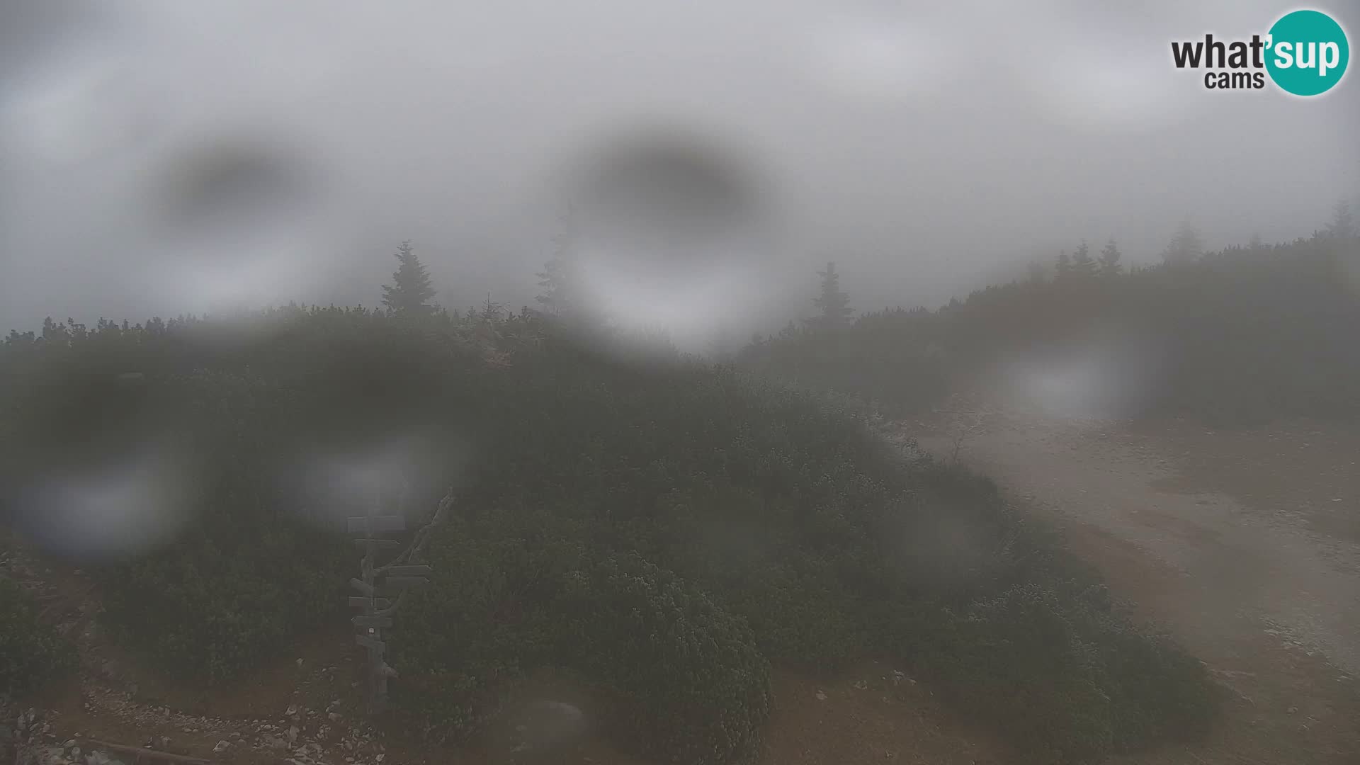 Velika Planina | Gradišče