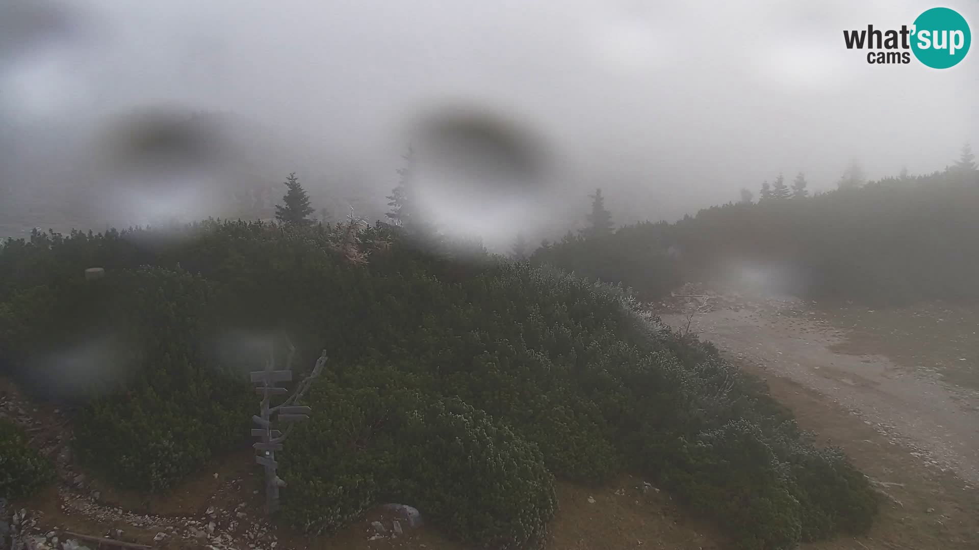 Velika Planina | Gradišče