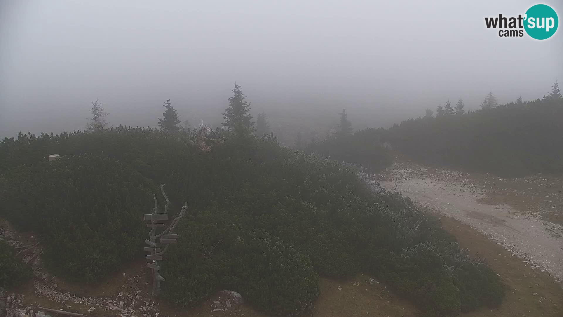 Velika Planina | Gradišče