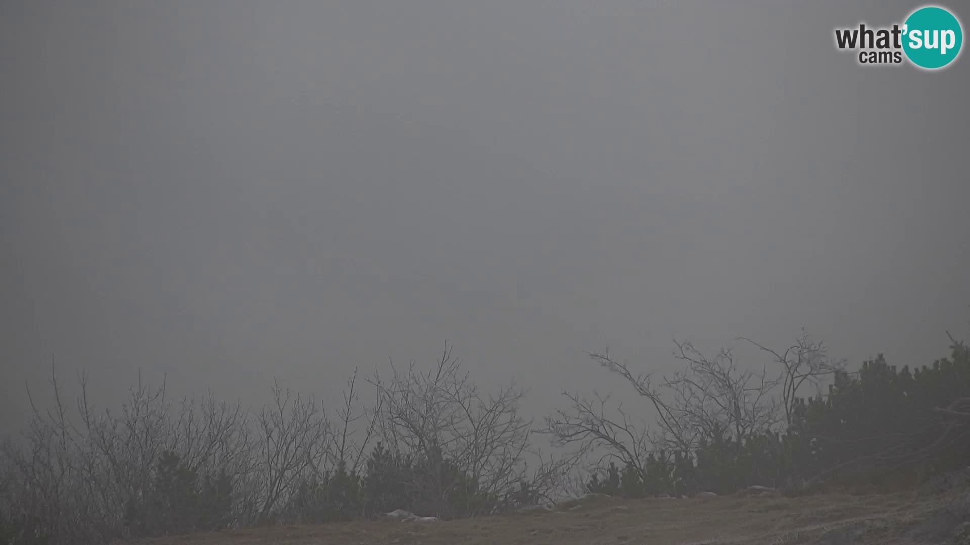 Velika Planina | Gradišče