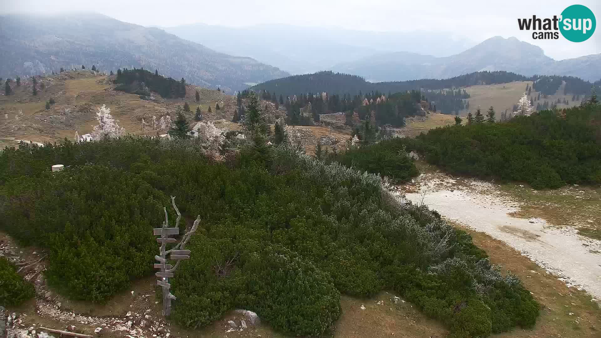 Velika Planina | Gradišče