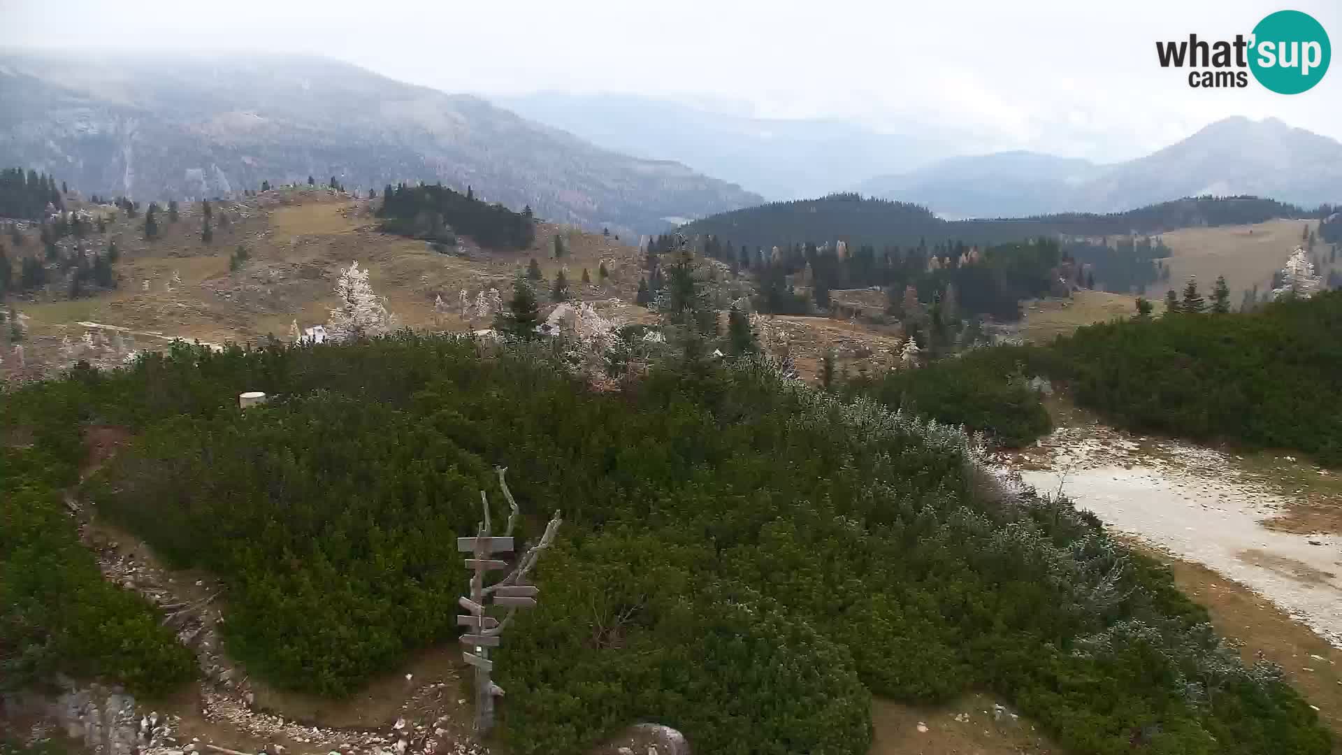 Velika Planina | Gradišče