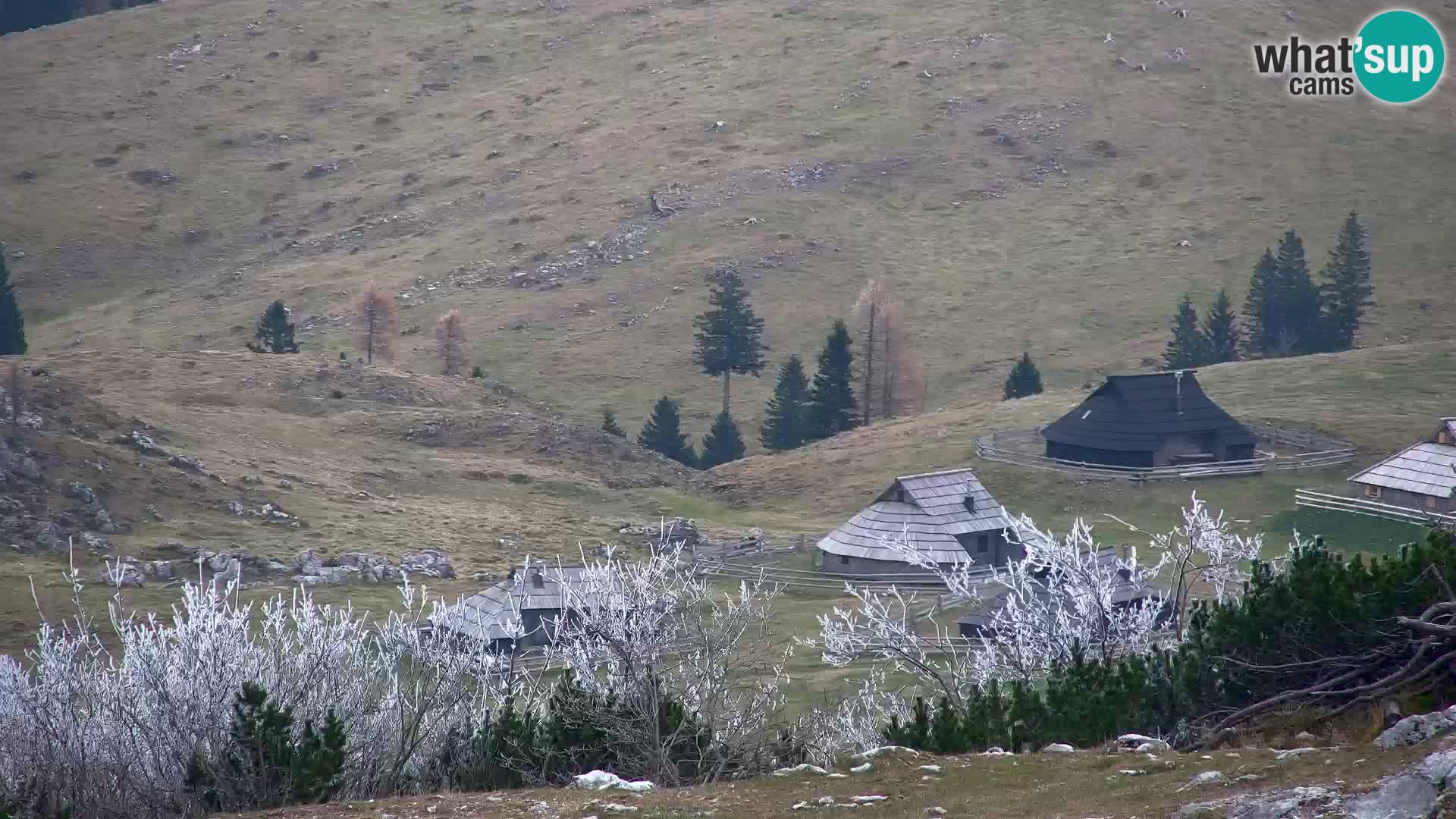 Velika Planina | Gradišče