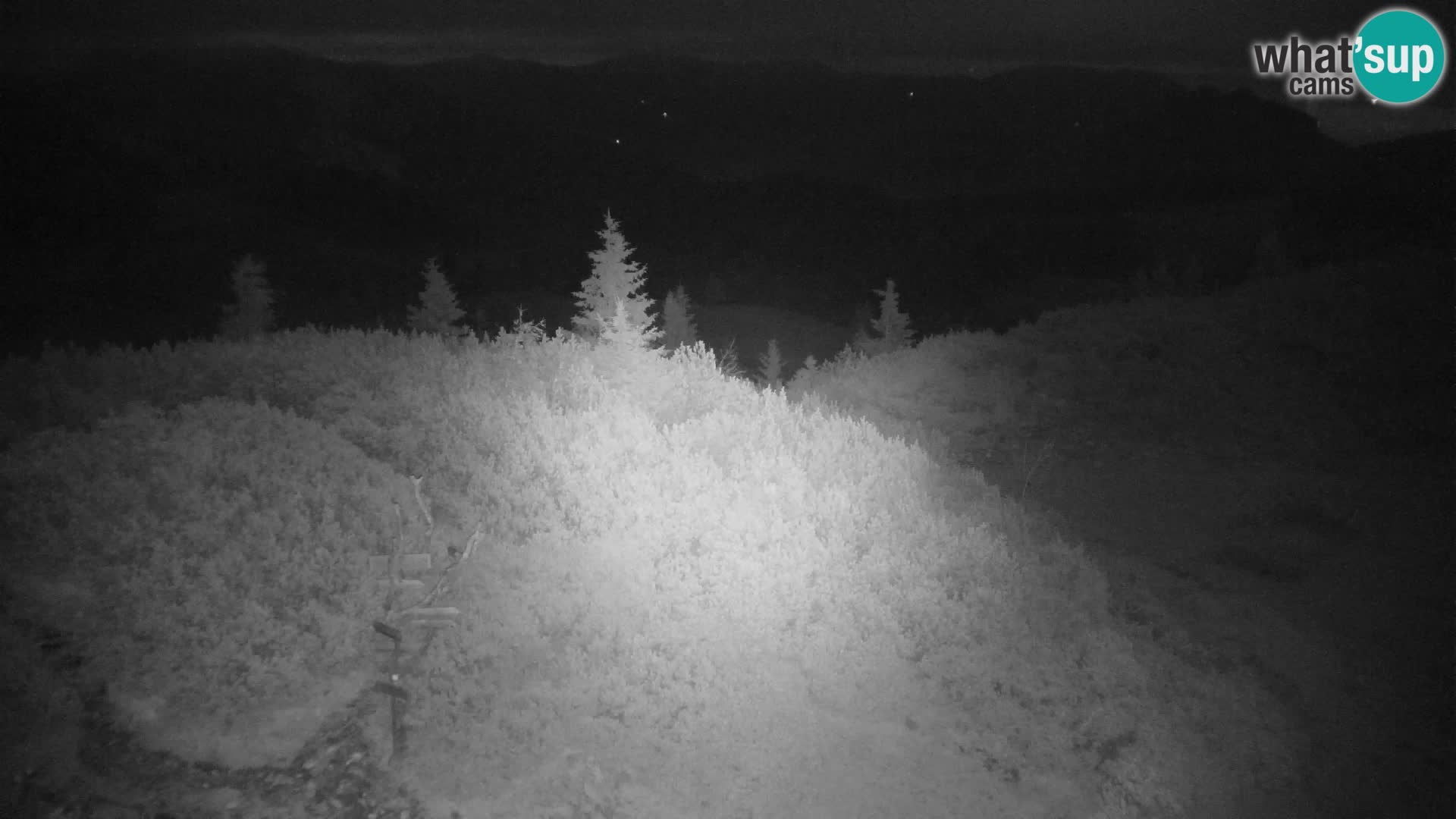 Velika Planina | Gradišče