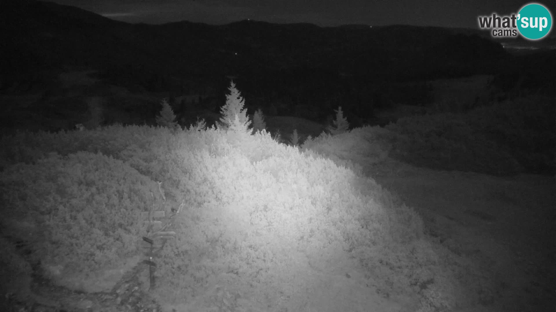 Velika Planina | Gradišče