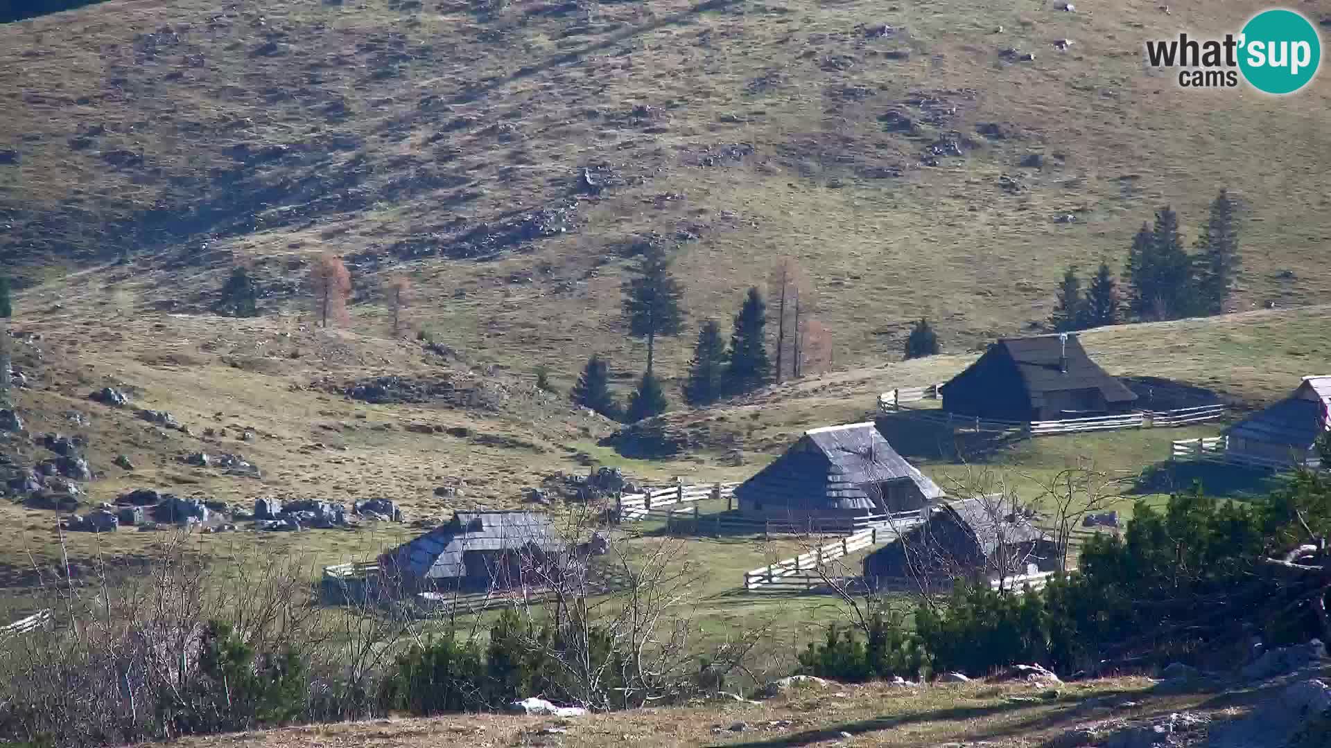 Velika Planina | Gradišče