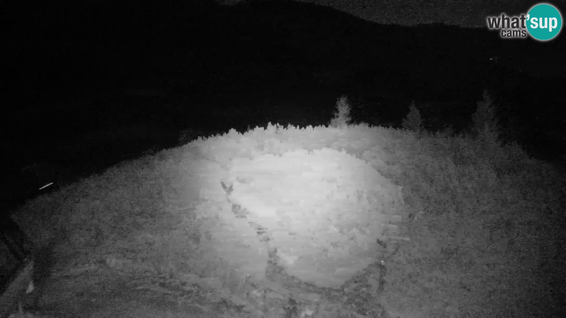 Velika Planina | Gradišče