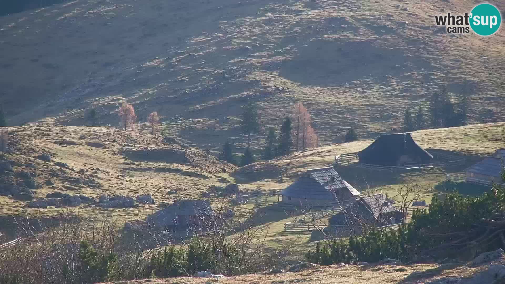 Velika Planina | Gradišče
