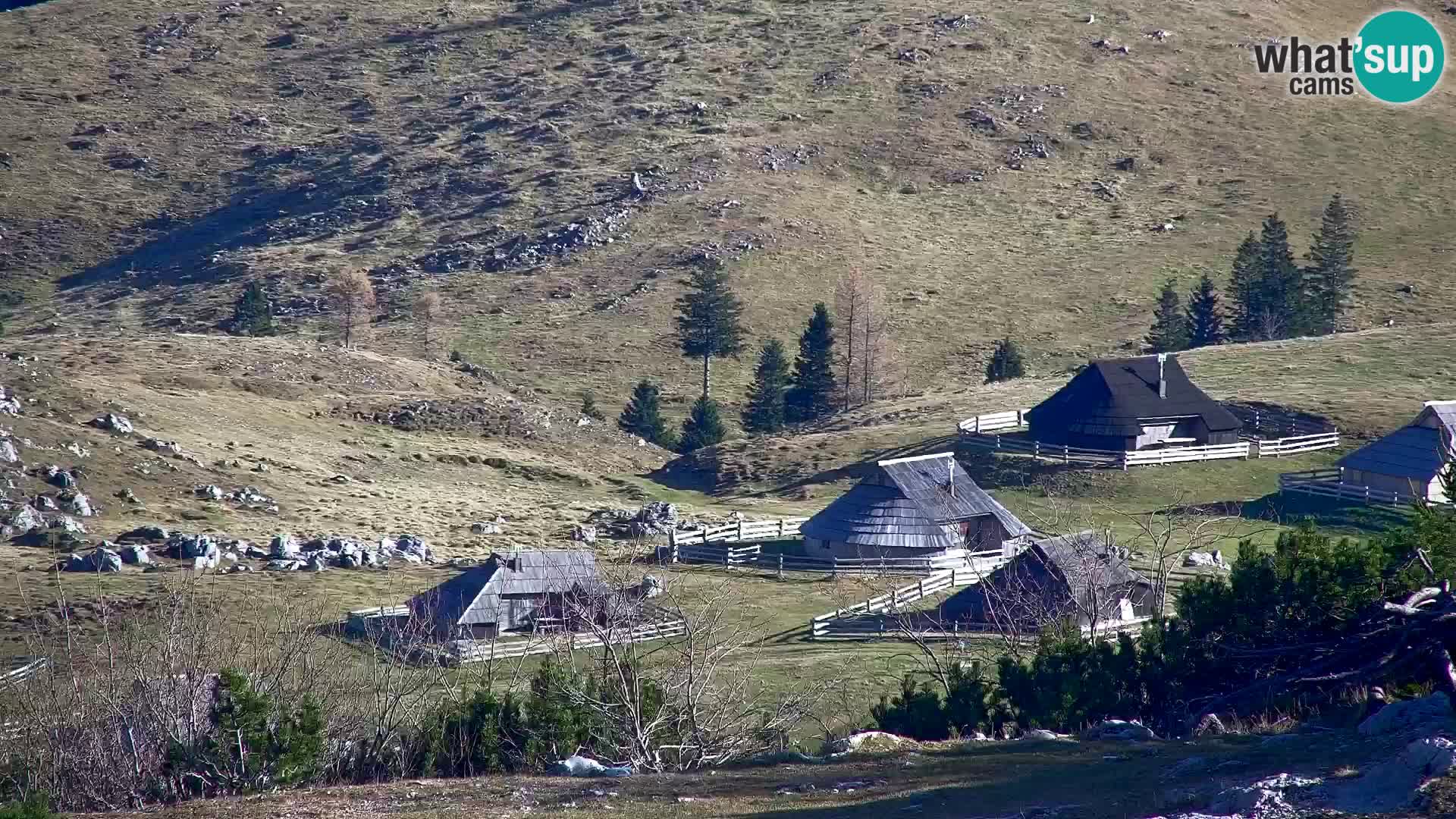 Velika Planina | Gradišče