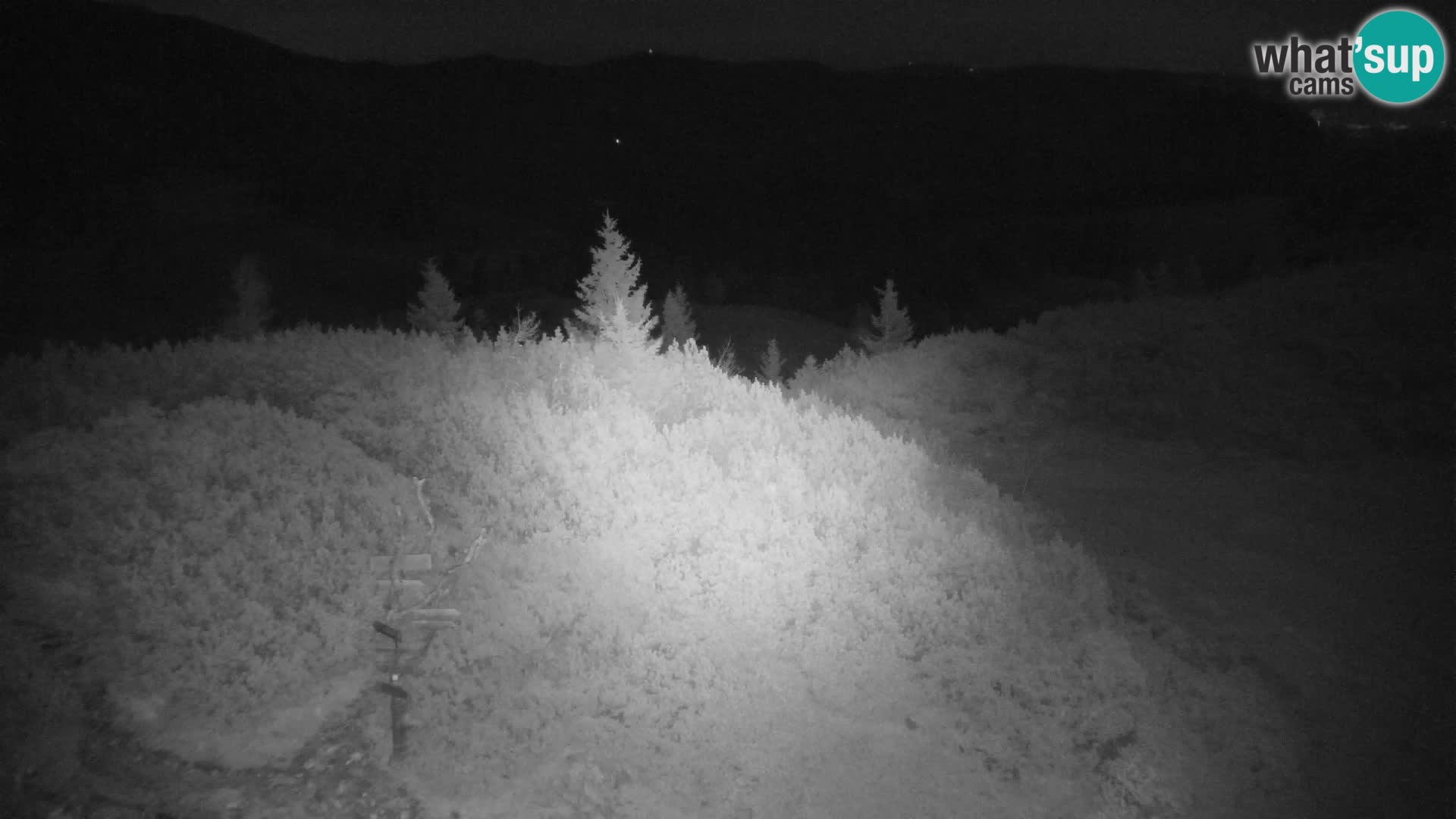 Velika Planina | Gradišče