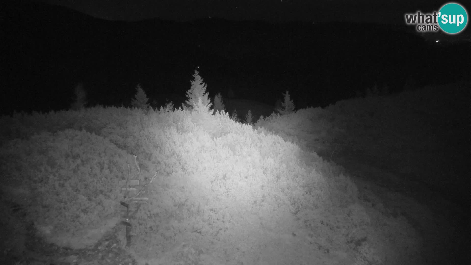 Velika Planina | Gradišče