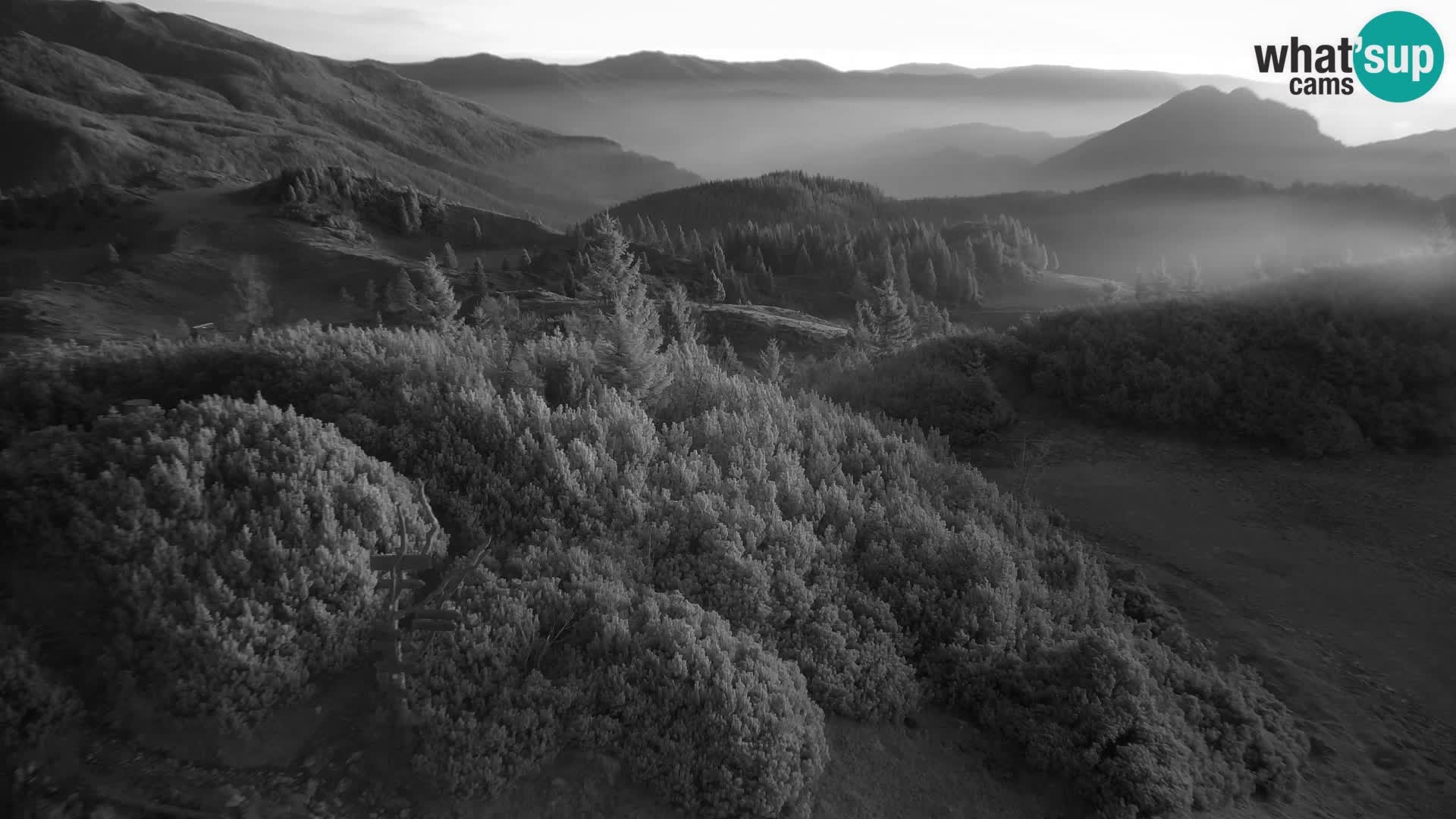 Velika Planina | Gradišče