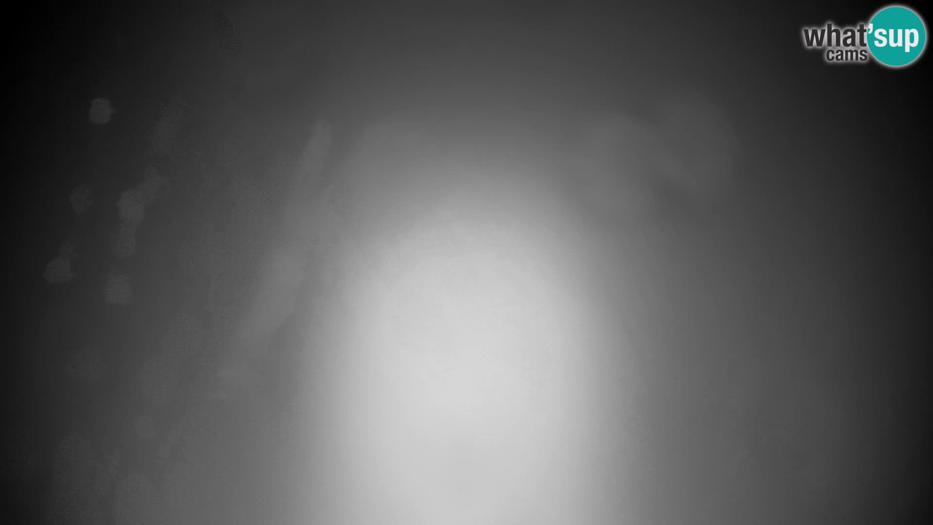 Velika Planina | Gradišče