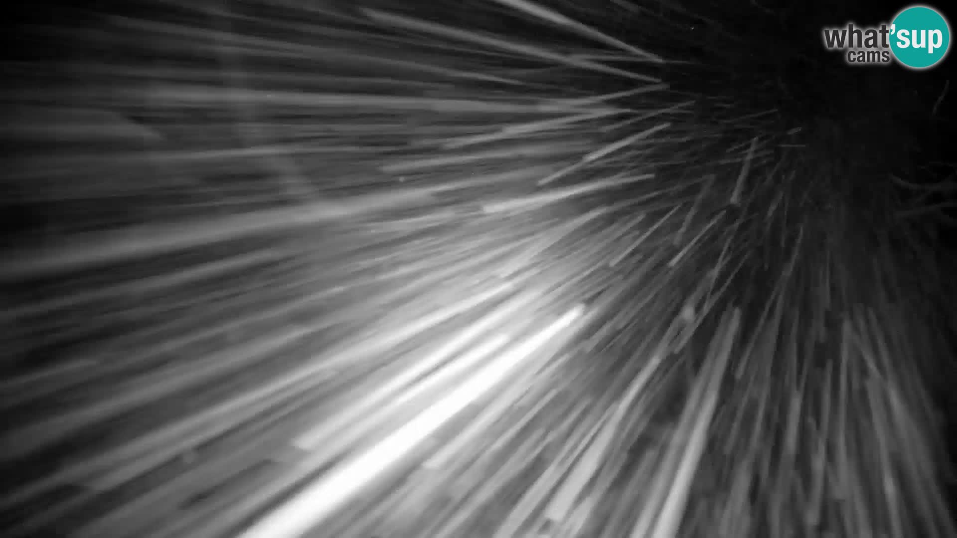 Velika Planina | Gradišče