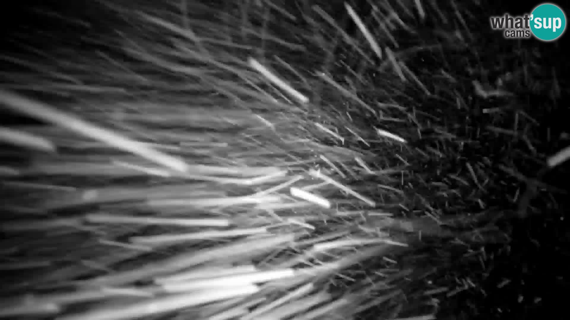 Velika Planina | Gradišče