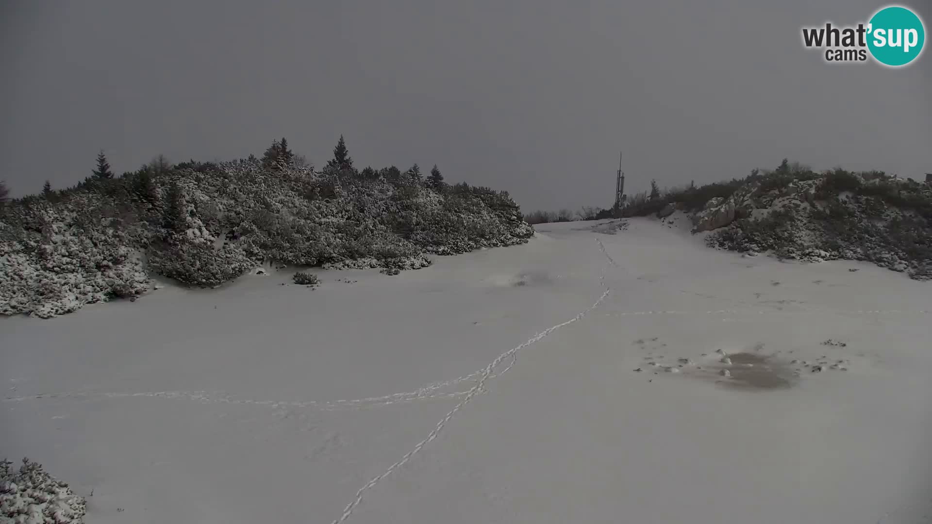 Velika Planina | Gradišče