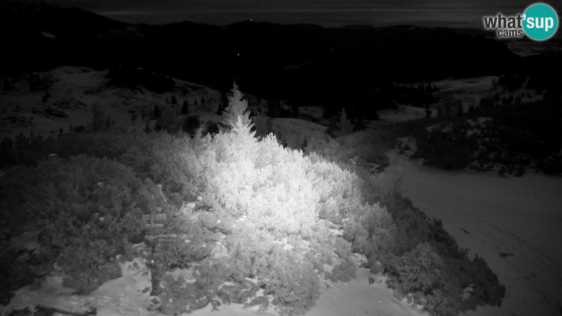 Velika Planina | Gradišče
