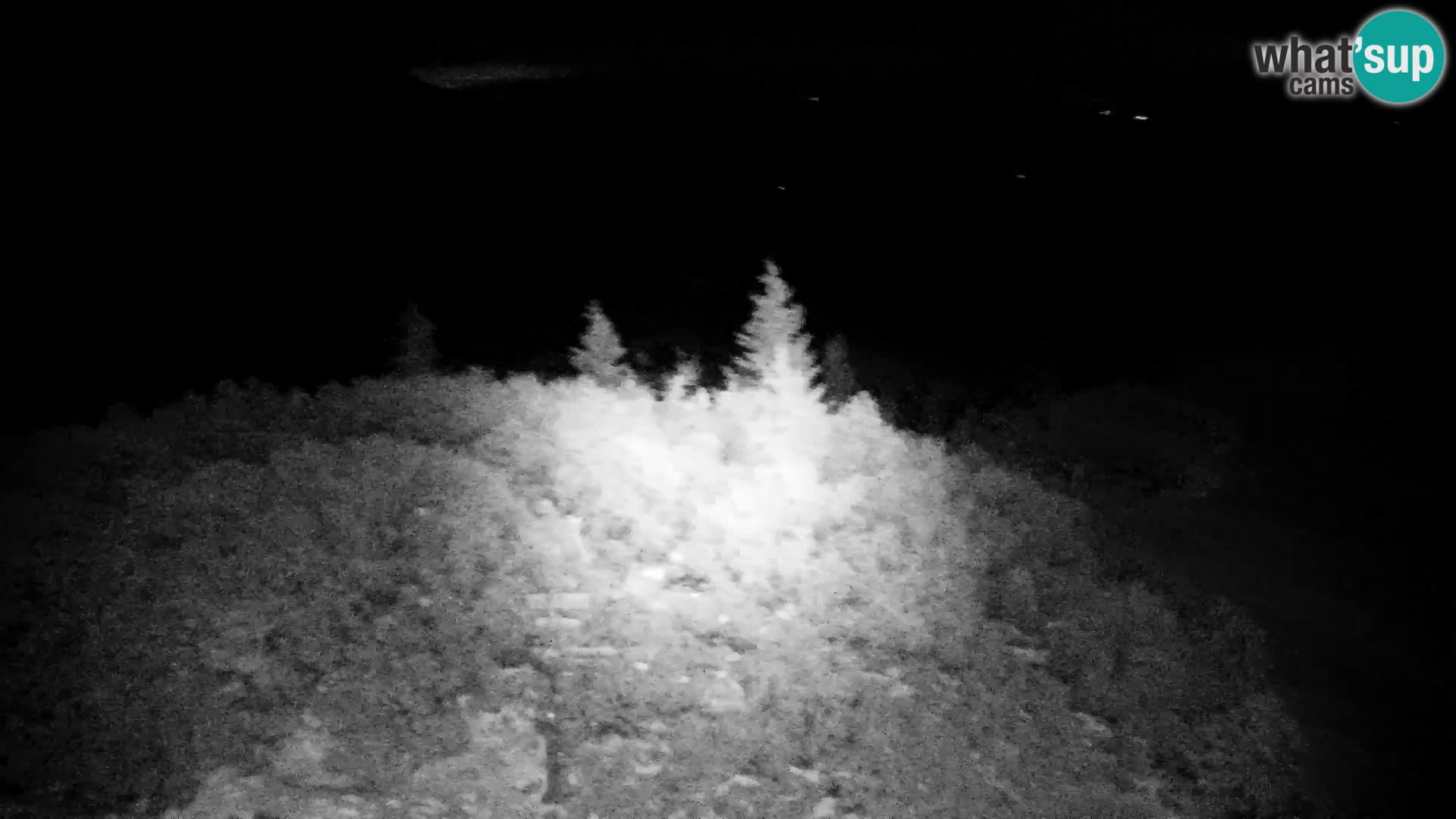 Velika Planina | Gradišče