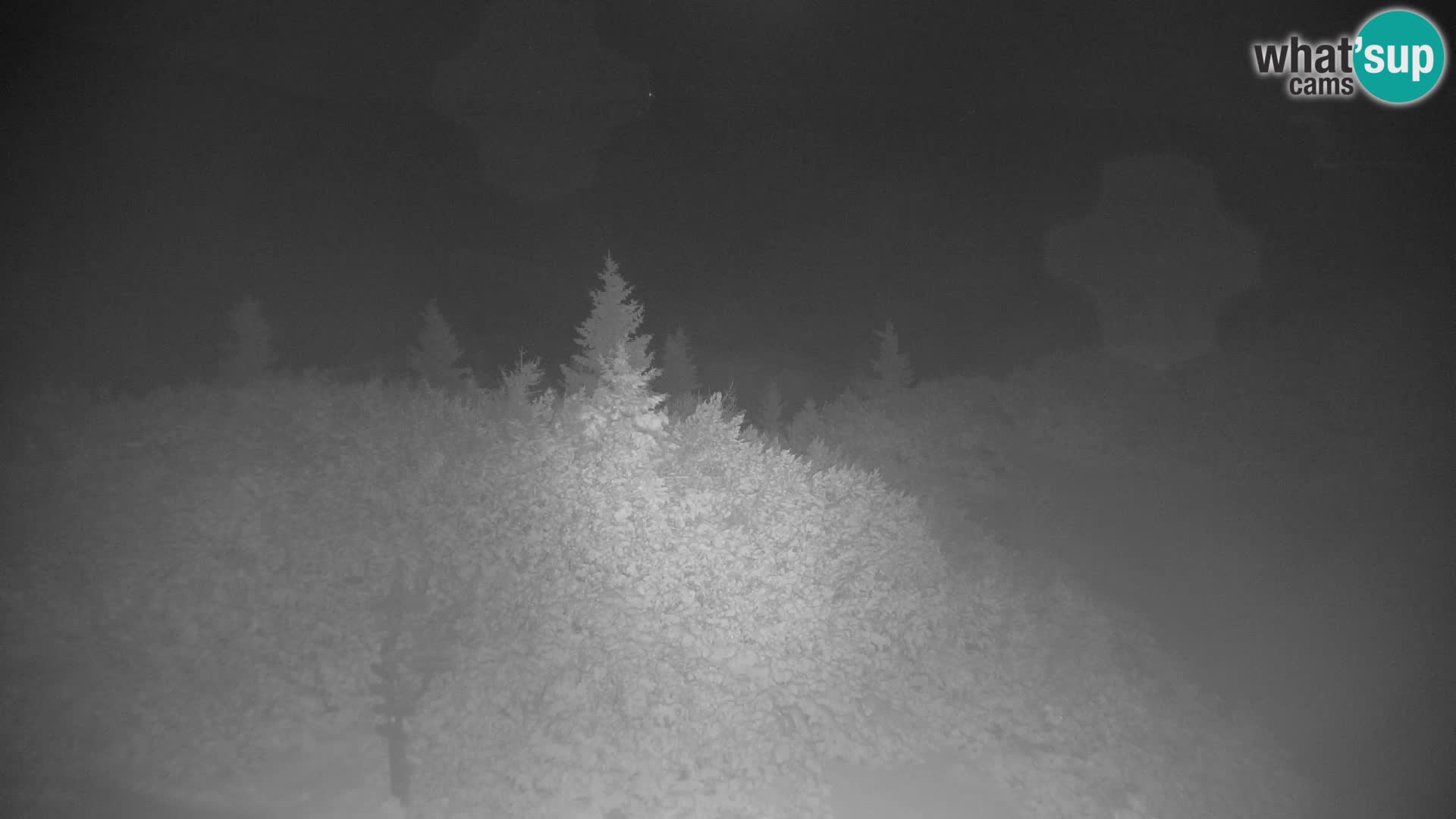 Velika Planina | Gradišče