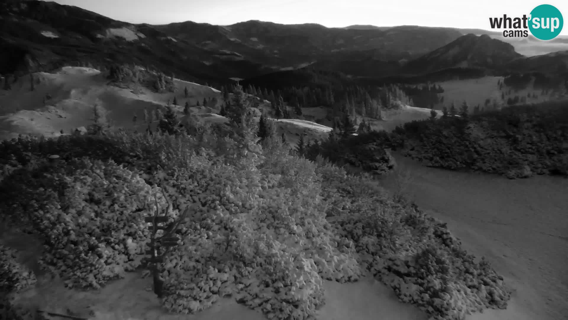 Velika Planina | Gradišče