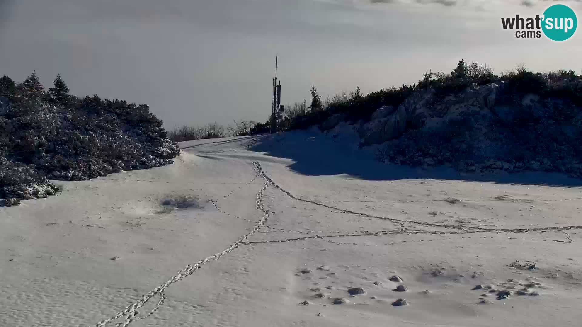 Velika Planina | Gradišče