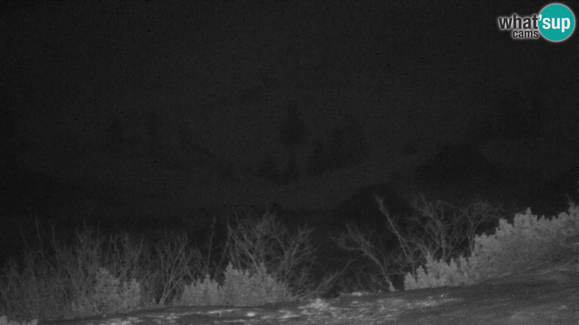 Velika Planina | Gradišče