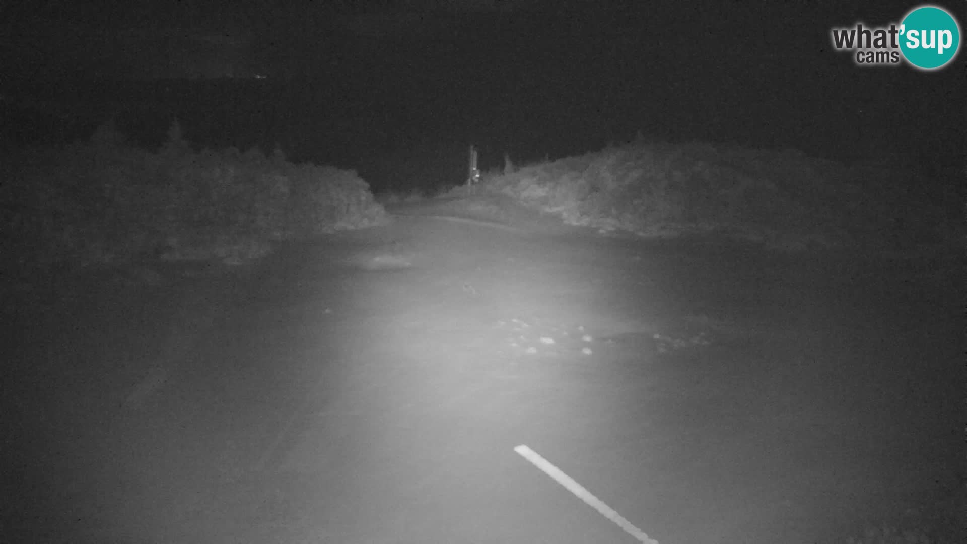 Velika Planina | Gradišče