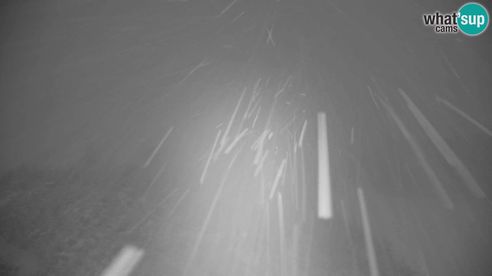 Velika Planina | Gradišče